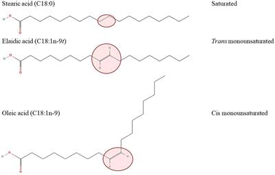 Trans isomeric fatty acids in human milk and their role in infant health and development